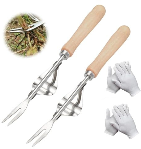 Handjätgerät für den Garten, Fugenkratzer Unkraut, Unkrautstecher, 2024 Neu Unkrautstecher Edelstahl, Outdoor-Garten-Reinigungsschaufel,Manueller Weeder zum Graben, Jäten, Lösen (2PCS)