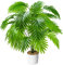 Plantas artificiales de 75 cm, palmera tropical falsa con 24 hojas, plantas artificiales realistas en maceta para decoración del hogar y la oficina, gran vegetación flexible para interiores y