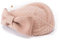 Lawliet Damen Fascinator Pillbox Filz-Wollhut formelles Kleid Blumenschleier Gr. Einheitsgröße, camel