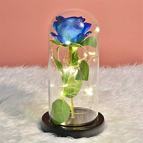 Deolven Beauty and the Beast Rose,Eternal Rose Kit LED Light Enchanted Rose in Glass Dome Preserved Silk Roses for Mothers Day Valentines Day Wedding Anniversary Symbol of Love Blue Flower