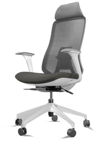 Silla de Escritorio ergonómica Asmara | Silla Gaming ergonómica de Malla +120kg Brazos 4D y Cabezal Integrado (White & Grey)