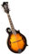 Mandolina Profesional Hecha A Mano Instrumento De Cuerdas Sólidas Instrumento De Mandolina Acústica