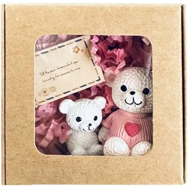 Jsnwernb Mini-Plüschtier in Box, Tasche mit positiver Karte – niedliches Spielzeug zur positiven Unterstützung für Haus, Partys, Hochzeit, Geburtstag | Geschenke zum Geburtstag, Hochzeit, Abschluss