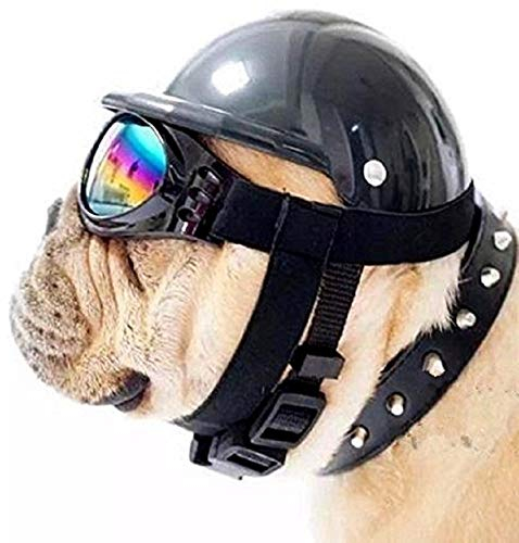 ShopTrend Hundehut mit Schutzbrille, Reitrad Hundekappe (groß, schwarz)