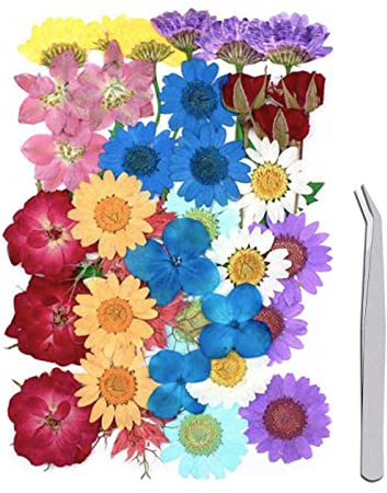 WJIAEER 36 STÜCKE Natürliche Geprägte Trockenblumen, Getrocknete Blumen, DIY Gepresste Blumen Trockenblumen zum Basteln Trockenblumen