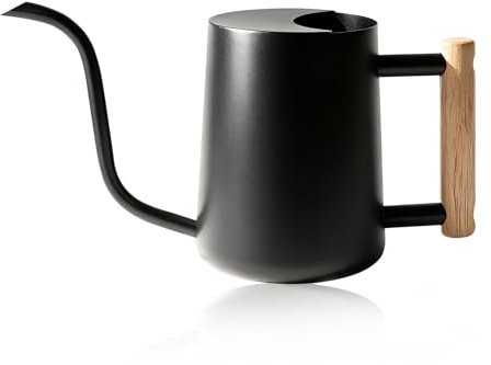 Bamworld Regadera Plantas Acero Inoxidable Regadera Pequeña para Plantas de Interior 1L Regadera Bonsai 35oz Metálica Regadera de Jardín Negro Mini Watering Can