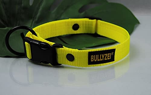 Halsband Neon-Gelb 25mm breit