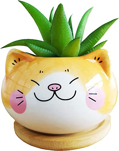 Macetas suculentas, bonitas macetas de cerámica con forma de gato de 9 cm con bandeja de bambú para decoración del hogar, jardín, oficina, planta no incluida, color amarillo