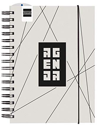 Finocam – Terminkalender 2020-2021, viertel – 155 x 215 cm, Wochenansicht, vertikal, Institut Line Katalanisch