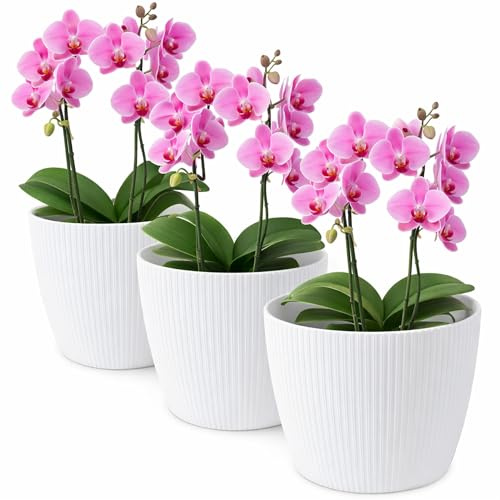 TULMERO Blumentopf matt, Pflanzkübel aus Übertopf Kunststoff Dekorativer Topf für, groß Pflanzen 3X blumenkübel Set, blumenkübel kräutertopf, (3 Pack) Weiß, ø 14 cm