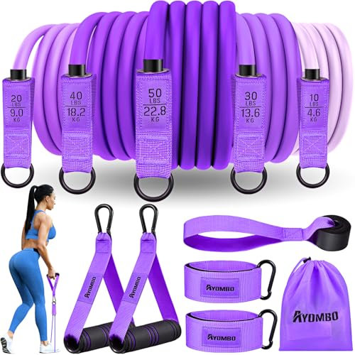 Ayombo Resistance Bands, Resistance Bands with Handles, Exercise Bands with Door Anchor Ankle Straps, Gym Equipment for Heavy Resistance Training, Physical Therapy, Shape Body, Yoga, Home Workout Set