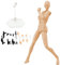 Zeichnung Figur Actionfigur Gesten poable Figur Leichtes Zeichnen Schaufensterpuppen mit Standunterstützung ＆ Zubehör Zeichnung Figure Modell für Künstler skizzieren, Frauenmalerei
