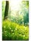 Paul Sinus Art Leinwandbilder | Bilder Leinwand 90x60cm Pusteblumen im Wald
