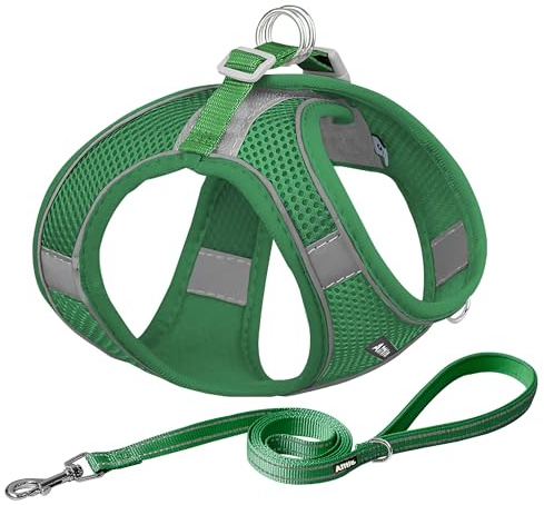 AIITLE Petit Harnais pour Chiot avec Laisse - Harnais Gilet pour Chien avec Maille Super Respirante pour Marche en Extérieur, Course pour Petits Chiens, Chats Vert XXS