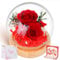 BoriYa Regalo Donna Rosa Stabilizzata, Rosa Eterna, Regali per Mamma, Rose Fiori Stabilizzati Vera, Piccole Rosà Stabilizzate Vere in Vetro con LED Luci, Idee Regali Lei per Compleanno, Anniversario