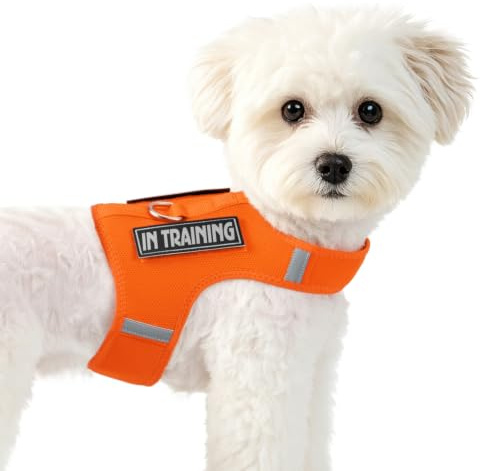Sunraymascota valpsele för små hundstorlekar, justerbar, ventilerande mjuk väst med reflekterande ränder + 2 kardborrband (orange, S)