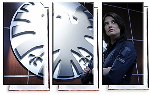 Unified Distribution Agents of Shield - Maria Hill - Cobie Smulders - Dreiteiler (120x80 cm) - Bilder & Kunstdrucke fertig auf Leinwand aufgespannt und in erstklassiger Druckqualität