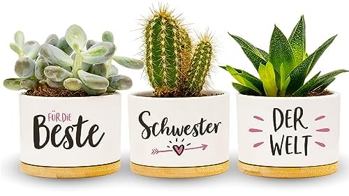 Darlena Beste Schwester der Welt | Schwester Geschenk, Geburtstagsgeschenk | Kräutergarten Geschenke für Schwester zum Geburtstag oder Weihnachten | Blumentöpfe zum Bepflanzen