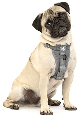 Kurgo TRU-Fit Hundegeschirr, Crash-Test-erprobtes Auto-Sicherheitsgurt, Für Hunde von 2 bis 5 kg, Größe S, Grau