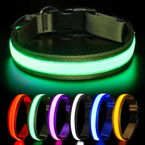 HEELE Hundehalsband Leuchtend, Leuchtend Halsband, Leuchthalsband Type-C Wiederaufladbar, Leuchthalsband Hund Wasserdicht, LED Halsband für Hunde, Hundehalsband mit 3 Beleuchtungsmodi, Grün, L