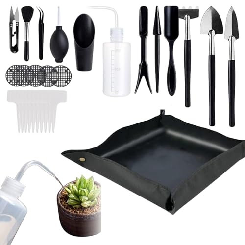 Duroecsain Outils pour succulentes | Ensemble d'ustensiles de Jardinage | Base de Transplantation Portable, Accessoires d'entretien des, équipement de Culture de Cactus et