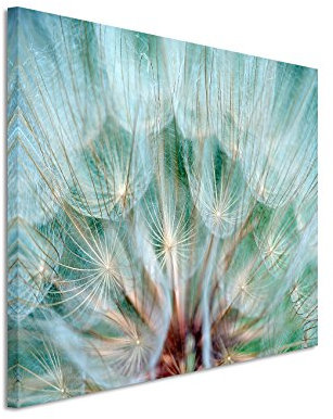 Paul Sinus Art Kunstfoto auf Leinwand 60x40cm Naturfotografie – Pusteblumen im Detail auf Leinwand exklusives Wandbild moderne Fotografie für ihre Wand in vielen Größen