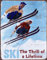 Vintage-Blechschild „Ski The Thrill Of A Lifetime“, Eisen-Metallplatte, Wandkunst, Pub, Club, Café, Bar, Garde, Bauernhof, Zuhause, Wanddekoration, Retro-Poster, Malerei, Aluminiumschild, 20,3 x 30,5