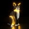 BRIKSMAX Led Licht für LEGO Schwarz-weiße Katze 21349 - Compatible with Lego Ideas Bausteinen Modell - Ohne Lego Set