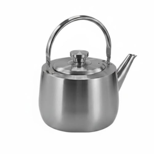 Qianly Tetera Acero Inoxidable 4 Litros Tetera Acero Inoxidable Salida Alargada Hervidor para Inducción, Array, Plateado