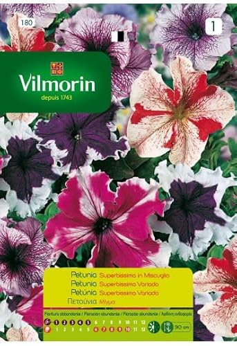 Semi Di Petunia Superbissima Var. Fiori S-1,0,04 Gr