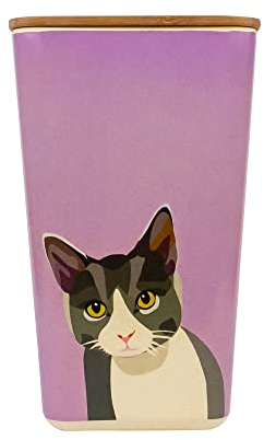 Emily Brooks Cat Treats Storage Pot