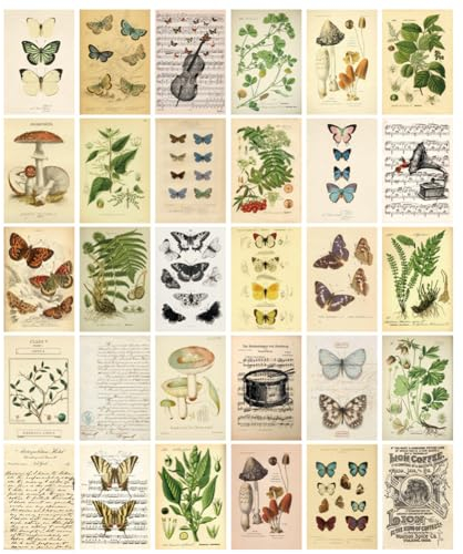 HOSTEESSCHOICE Vintage Collection Postkarten-Set, Retro-Stil, 30 Stück, 10,2 x 15,2 cm, botanischer Schmetterling, Blume, Pilz, Natur-Postkarten