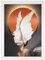 Diompirux Blanc A4 21 x 30 cm bois naturel Cadre Photo, verre Plexiglas de Haute Qualité, pour posters et Photos, pour l'affichage de la Chambre du Salon, décoration murale à suspendre