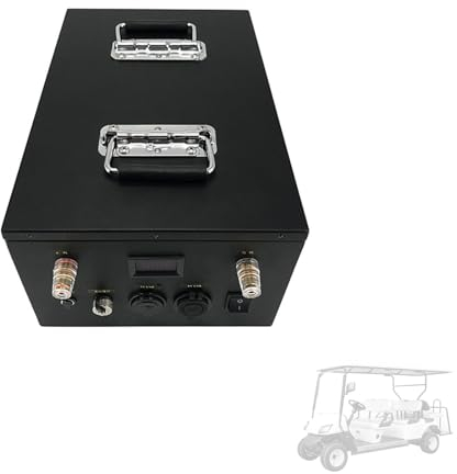 WILLQ 48V 100Ah LiFePO4 Batterie 51,2V 3000+ Deep Cycle Batterie mit BMS für Golfwagen Sightseeing Auto Zuhause Photovoltaik Energiespeicher Lithiumbatterie