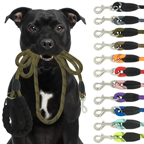 Reichstadt Pets Hundeleine 25RSP084 Green 1,5m | Weiches Nylon mit EVA-Griff, reflektierend, drehbarer Metallhaken | robuste Führleine für kleine, mittelgroße, große Hunde