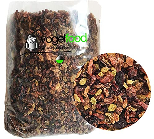 Vogelfood 10 kg Rosinen Futterrosinen Marke Vogelfood Futter Vögel Meisen Wildvögel Top Qualität