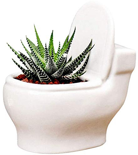 Indoor Pots for Plants, Toilet Planter Ceramic Toilet Shape Flower Pot Mini White Succulent Plant Pot for Decoration