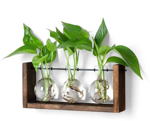 YIBOT Pflanzen-Terrarium mit Holzständer, Pflanzenzuchtstationen, Wandbehang, Glas-Pflanzgefäß, Schreibtisch-Pflanzgefäß, für Innenbereich, Büro, Zuhause, Garten, Dekoration, 3 Glühbirnen