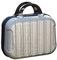 eexuujkl 14 Inch Makeup Storage Organizer ABS Suitcase Box Mini Handbag Cosmetic Case Large Capacity Bag Attached to Trolley, Silver