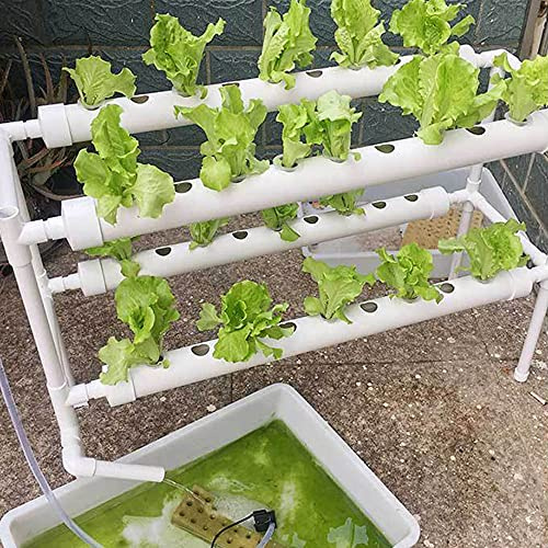 Esyogen Sistemas hidropónicos de 2 capas, sistema hidropónico de 36 plantas, sistema de riego automático para balcón, 95 x 30 x 65 cm