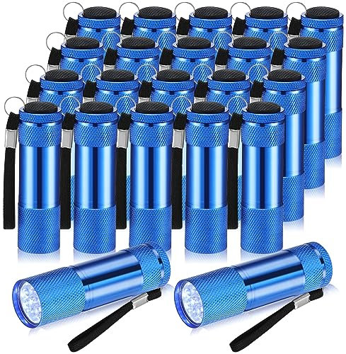 VIHOSE 20 Pcs Mini Flashlights Bulk, Bright Aluminum Handheld Flash Light with Lanyard Small LED Flashlights for Kids Night Reading Emergency Hurricane Camping Hiking, Batteries Not Included(Blue)