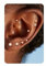 Adramata Lippenpiercing Labret Piercing Gewindeloses Einschieben 14 Karat Gold Nasenpiercing Stecker Chirurgenstahl Piercing Ohr Tragus Piercing Medusa Piercing Knorpel Helix Piercing 20G 18G 16G,16G