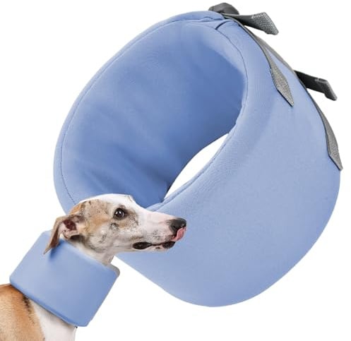 Hundehalskrause Für Hunde Zum Verhindern Von Lecken - Einstellbarer