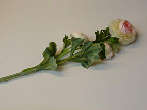 RG Seidenblume Ranunkel cremefarben, Creme, 62cm lang, Kunstblume, Seide, Frühling, Blume, Deko