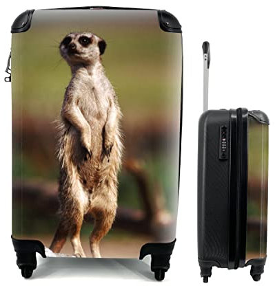 MuchoWow© Koffer Handgepäck Trolley Rollkoffer Kleine Reisekoffer mit 4 Rollen - Erdmännchen - Tier - Spiel - Cabin Size < 55x40x23 & 55x40x20 cm - Fotokoffer - Kabinenkoffer - Boardgepäck
