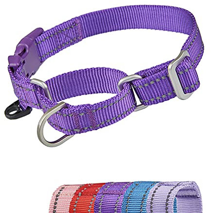 YUDOTE Reflektierende Martingale Hundehalsbänder,ausbruchsicheres Anti-Zug-Trainingshalsband mit Sicherheits-Schnellverschluss für schmale Kopfhunde erleichtern das Gehen,Klein,Violett