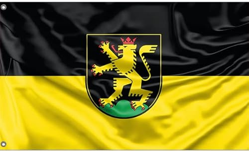 Flagge der Stadt Heidelberg, Baden-Württemberg | Einzigartiger Designdruck | Made in EU (90x150 cm)