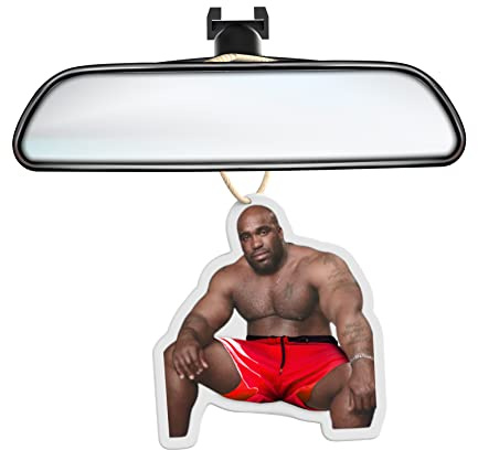 Barry Wood Meme Lufterfrischer im Bett – lustiges Auto-Geschenk für Frauen, Männer, Ihn, ihren Vater – Neuheit Geschenk – lustiger Gag Witz Hirsch Junggesellinnenabschied Zubehör unhöflicher Streich