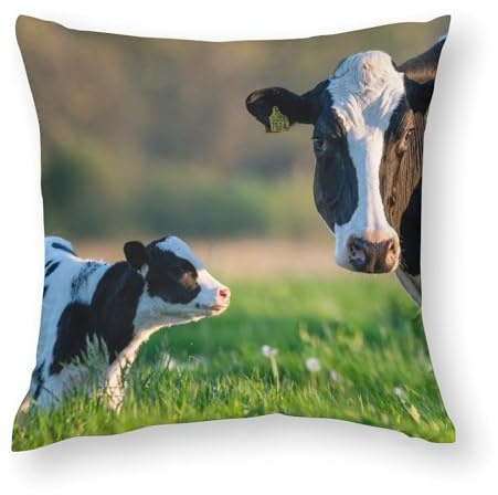 40 x 40 cm Kissenbezüge, Kuh und ihr Kalb auf der Wiese, Stuhlkissen, Sofakissen, Sitzkissenbezüge, Bett-Kissenbezüge