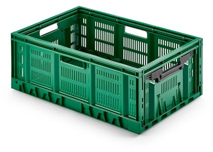 Stabile Profi-Klappbox Faltbox, 60x40 cm (lxbxh) Wände durchbrochen/perforiert, klappbar u. stapelbar, Industriequalität aus DE, langlebig, 100% recylebar, lebensmittelecht (grün, 60x40x23 cm)